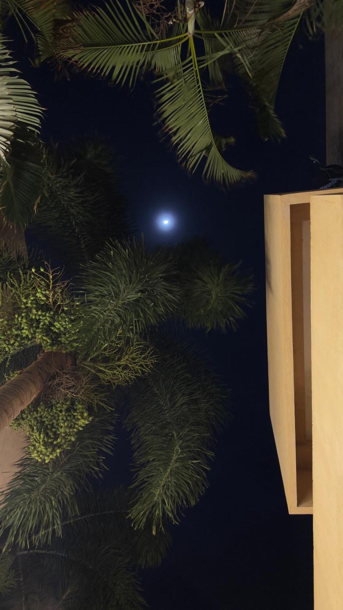 Twin Tree Villa มหาพลีปุรัม ภายนอก รูปภาพ